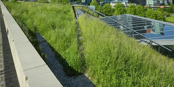 Couvreur B Taicom jardin sur toit 95